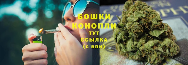 бошки Осташков