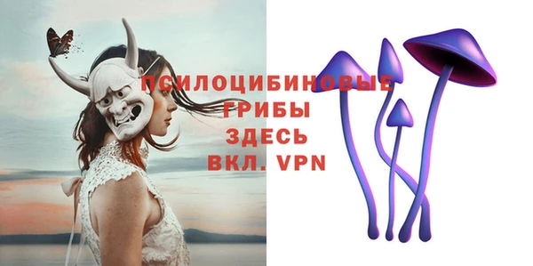 стафф Осинники