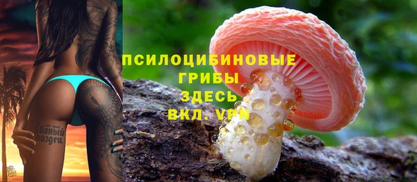 стафф Осинники