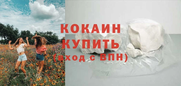стафф Осинники
