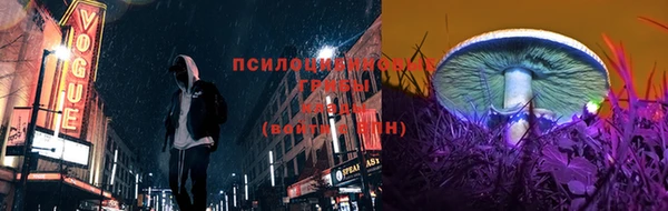гидропоника Пересвет