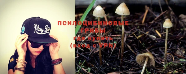 стафф Осинники