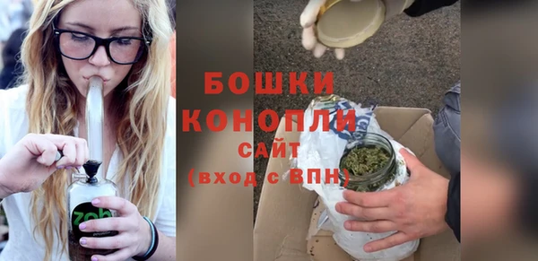 тгк Пестово